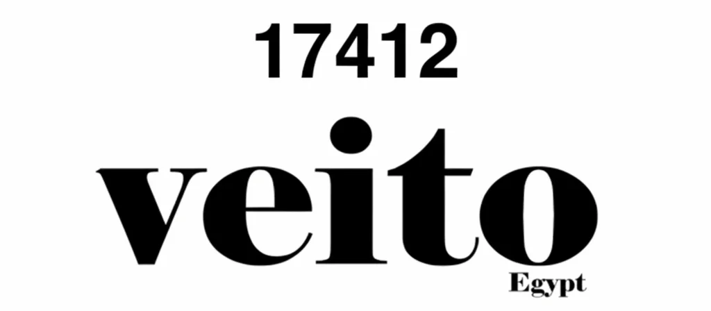 صيانة سخانات فيتو